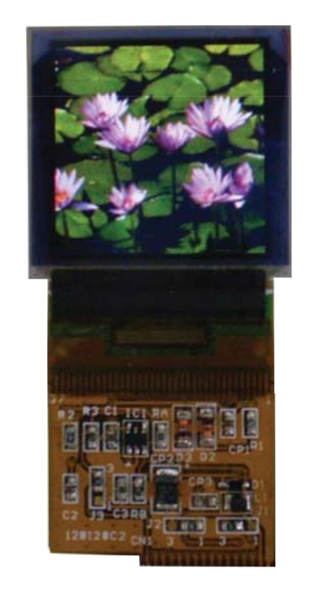 Display OLED gráfico